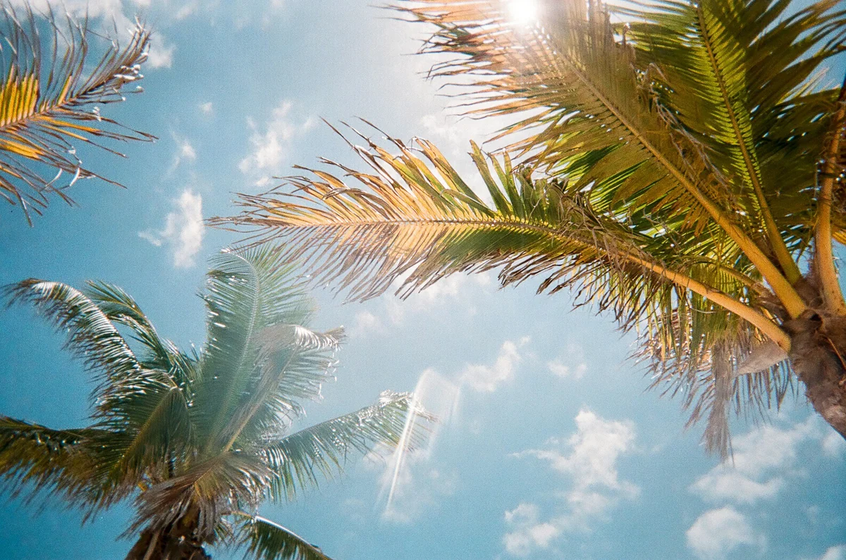 5 Things To Do This Weekend in Tampa Bay (4/6-4/7)