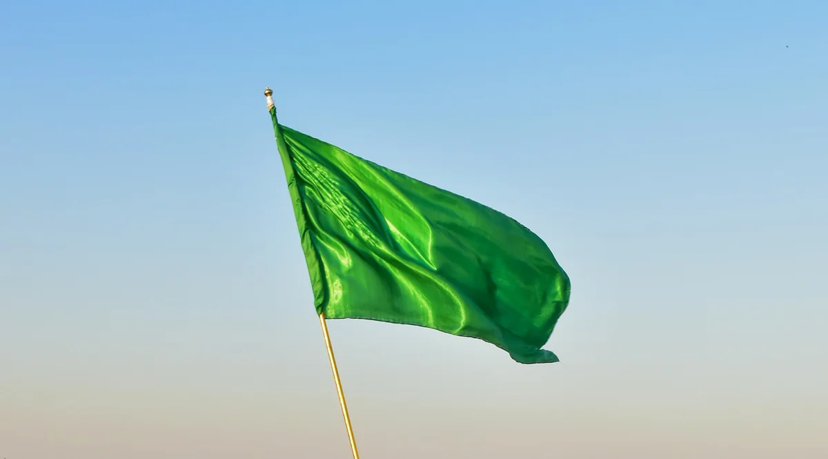 Green Flags in a Realtor: How to Know You’ve Found the Right Agent