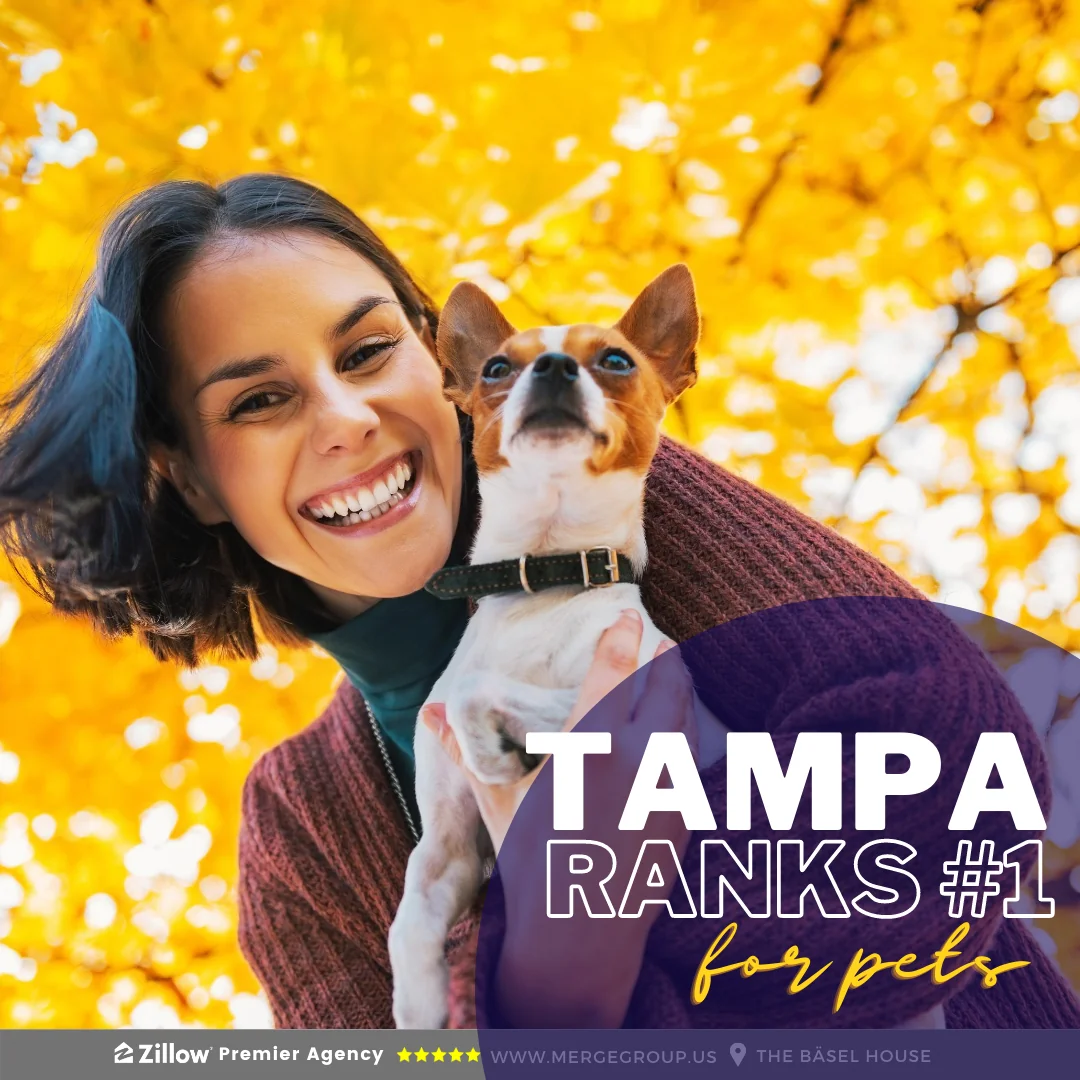 Tampa ranked #1 pet-friendly city in the country