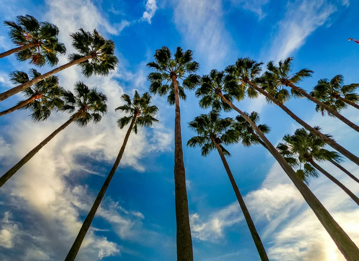 Unlocking Tampa's Real Estate Potential: What Zillow's Ranking Means for Buyers and Sellers